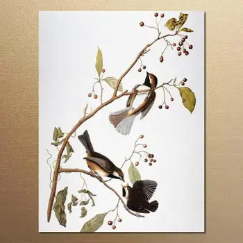 Подарочные картины маслом на холсте Birds of America Chickadee Джона Джеймса Одюбона ручной росписью современный натюрморт для домашнего декора